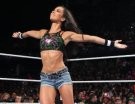 AJ Lee - Photo 0