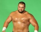 Rusev - Photo 0