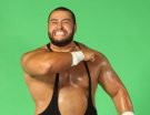 Rusev - Photo 1