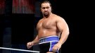 Rusev - Photo 0