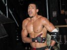 AR Fox - Photo 2