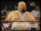 Bastion Booger - Photo 2