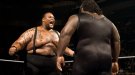 Big Daddy V - Photo 1