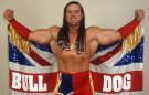 British Bulldog - Photo 2