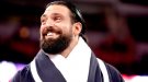 Damien Sandow - Photo 0