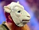 Erick Rowan - Photo 0