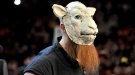 Erick Rowan - Photo 3