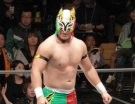 Flamita - Photo 0