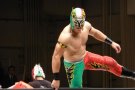 Flamita - Photo 1