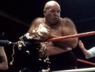 George Steele - Photo 0