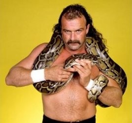 Jake Roberts