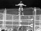Jimmy Snuka - Photo 3