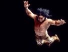 Jimmy Snuka - Photo 3