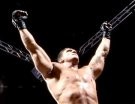 Ken Shamrock - Photo 0