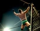 Ken Shamrock - Photo 2