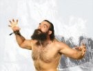 Luke Harper - Photo 2