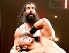 Luke Harper - Photo 3