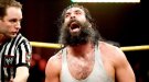 Luke Harper - Photo 2