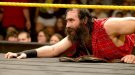 Luke Harper - Photo 0