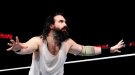 Luke Harper - Photo 3