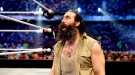 Luke Harper - Photo 0