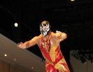 Mascara Dorada - Photo 1