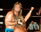 Michael P.S Hayes - Photo 1