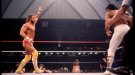 Randy Savage - Photo 1