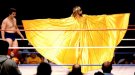 Randy Savage - Photo 0