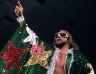 Randy Savage - Photo 0