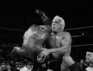 Ric Flair - Photo 2