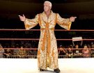 Ric Flair - Photo 2