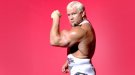 Scott Steiner - Photo 3
