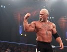 Scott Steiner - Photo 1