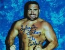 Sylvester Terkay - Photo 2