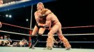Ted DiBiase - Photo 3