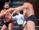 Ted DiBiase - Photo 2