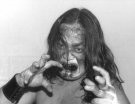 The Great Kabuki - Photo 3