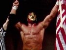 The Patriot - Photo 1