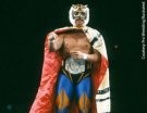 Tiger Mask - Photo 0