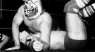 Tiger Mask - Photo 1