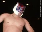 Tiger Mask - Photo 2