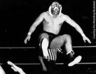 Tiger Mask - Photo 3