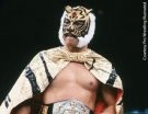 Tiger Mask - Photo 2