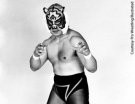 Tiger Mask - Photo 1