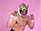 Tiger Mask - Photo 0