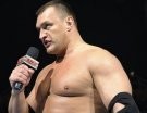 Vladimir Kozlov - Photo 1