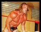 Wes Brisco - Photo 2