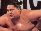 Yokozuna - Photo 0