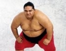Yokozuna - Photo 2